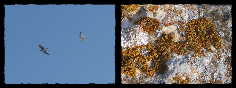 F009.jpg